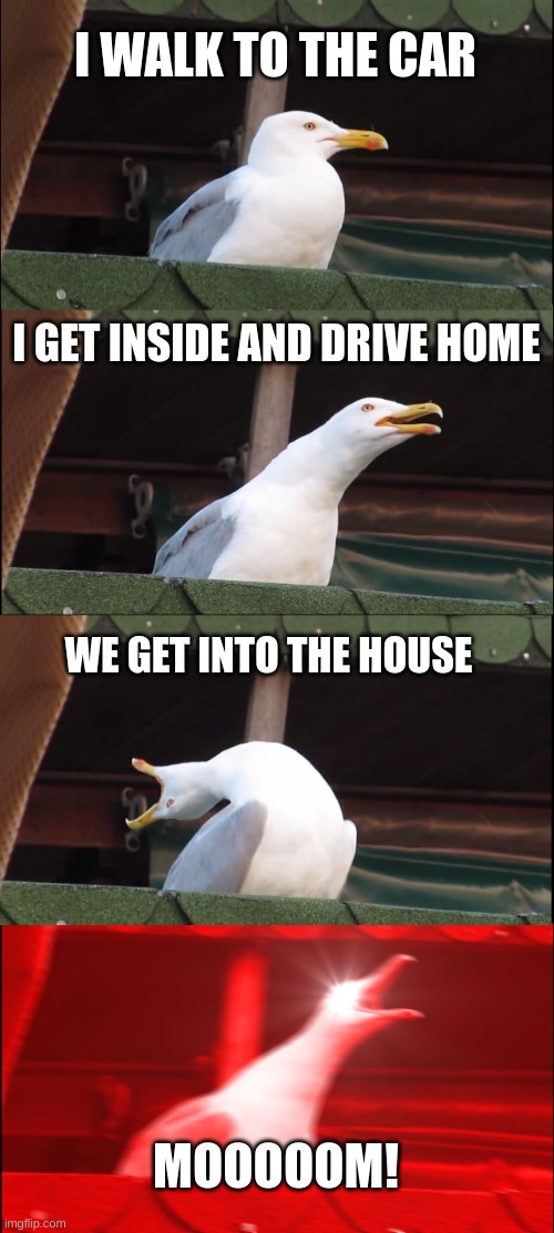 Inhaling Seagull |  I WALK TO THE CAR; I GET INSIDE AND DRIVE HOME; WE GET INTO THE HOUSE; MOOOOOM! | image tagged in memes,inhaling seagull | made w/ Imgflip meme maker