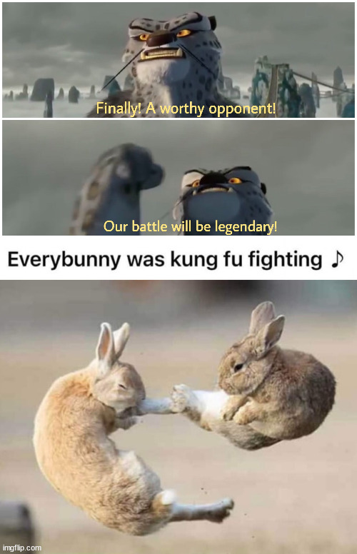 image tagged in our battle will be legendary,bunny | made w/ Imgflip meme maker