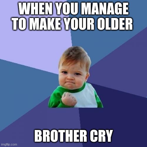 Yes | WHEN YOU MANAGE TO MAKE YOUR OLDER; BROTHER CRY | image tagged in memes,success kid | made w/ Imgflip meme maker