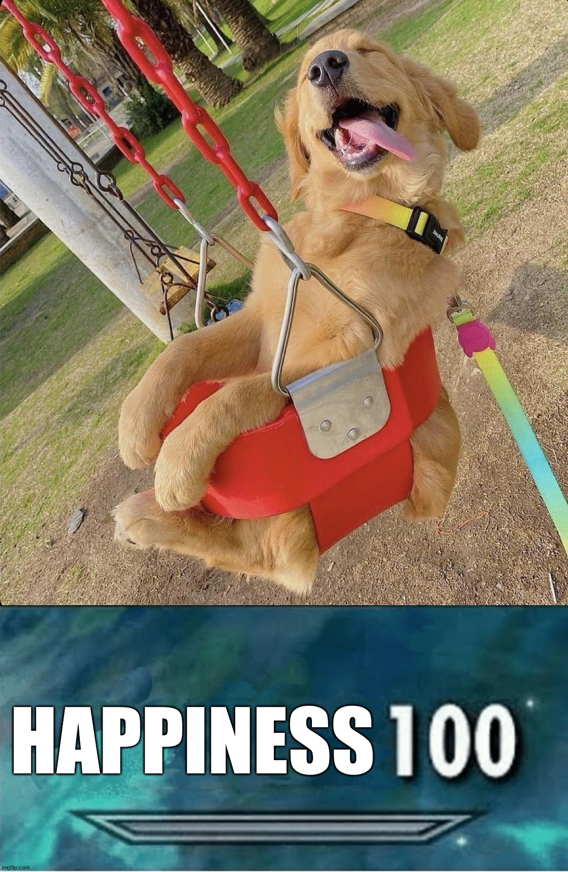 The picture of pure happiness. | HAPPINESS | image tagged in skyrim 100 blank,dogs | made w/ Imgflip meme maker
