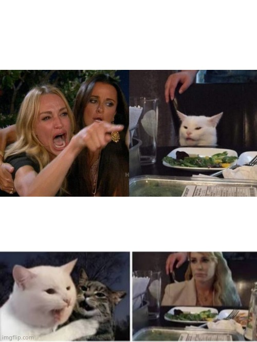 High Quality Woman Yelling At Cat Then Cat Yelling At Woman Blank Meme Template