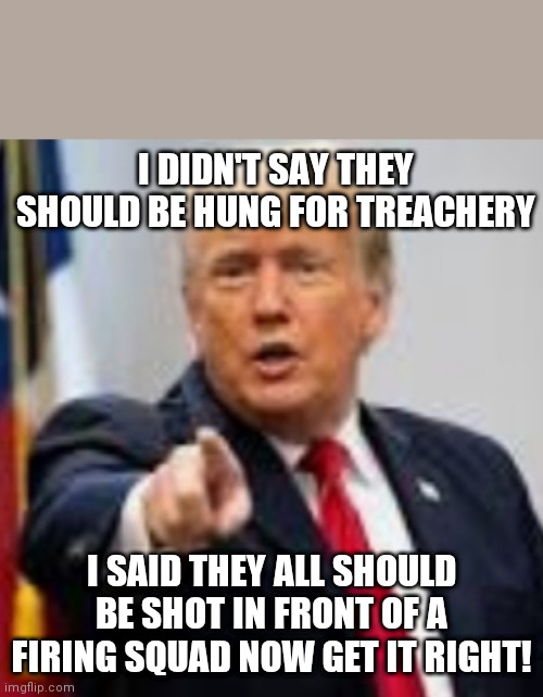 Get it right |  I DIDN'T SAY THEY SHOULD BE HUNG FOR TREACHERY; I SAID THEY ALL SHOULD BE SHOT IN FRONT OF A FIRING SQUAD NOW GET IT RIGHT! | image tagged in president trump | made w/ Imgflip meme maker