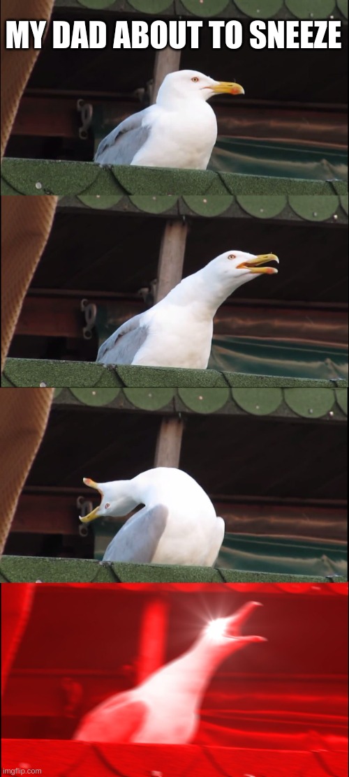 Inhaling Seagull | MY DAD ABOUT TO SNEEZE | image tagged in memes,inhaling seagull | made w/ Imgflip meme maker