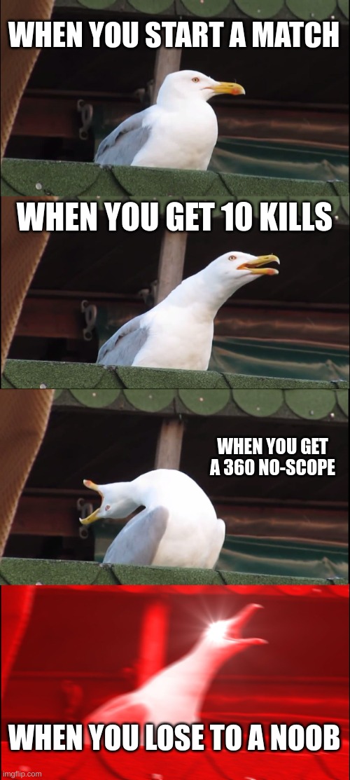 Inhaling Seagull | WHEN YOU START A MATCH; WHEN YOU GET 10 KILLS; WHEN YOU GET A 360 NO-SCOPE; WHEN YOU LOSE TO A NOOB | image tagged in memes,inhaling seagull | made w/ Imgflip meme maker