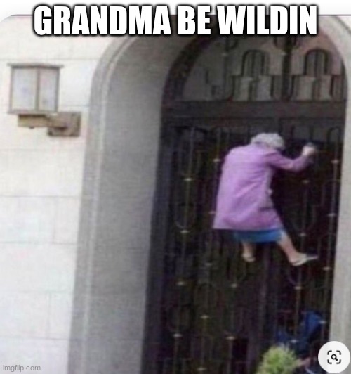 GRANDMA BE WILDIN | image tagged in grandma,wildlife | made w/ Imgflip meme maker