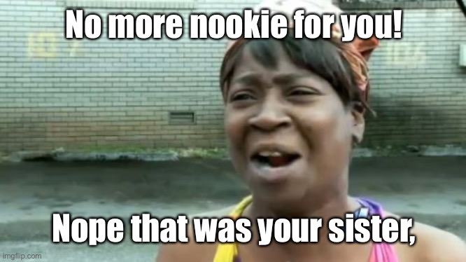 Ain't Nobody Got Time For That Meme | No more nookie for you! Nope that was your sister, | image tagged in memes,ain't nobody got time for that | made w/ Imgflip meme maker