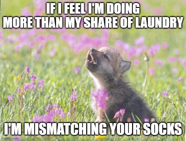 Baby Insanity Wolf | IF I FEEL I'M DOING MORE THAN MY SHARE OF LAUNDRY; I'M MISMATCHING YOUR SOCKS | image tagged in memes,baby insanity wolf,memes | made w/ Imgflip meme maker