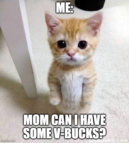Tell me in the comments how much v-bucks you guys have! | ME:; MOM CAN I HAVE SOME V-BUCKS? | image tagged in memes,cute cat | made w/ Imgflip meme maker
