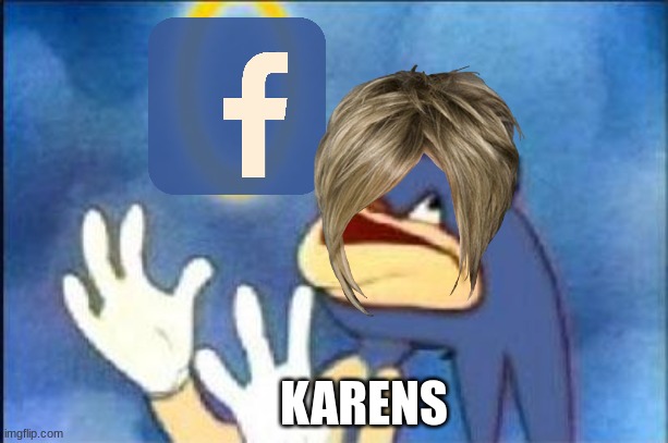 Sonic derp | KARENS | image tagged in sonic derp | made w/ Imgflip meme maker