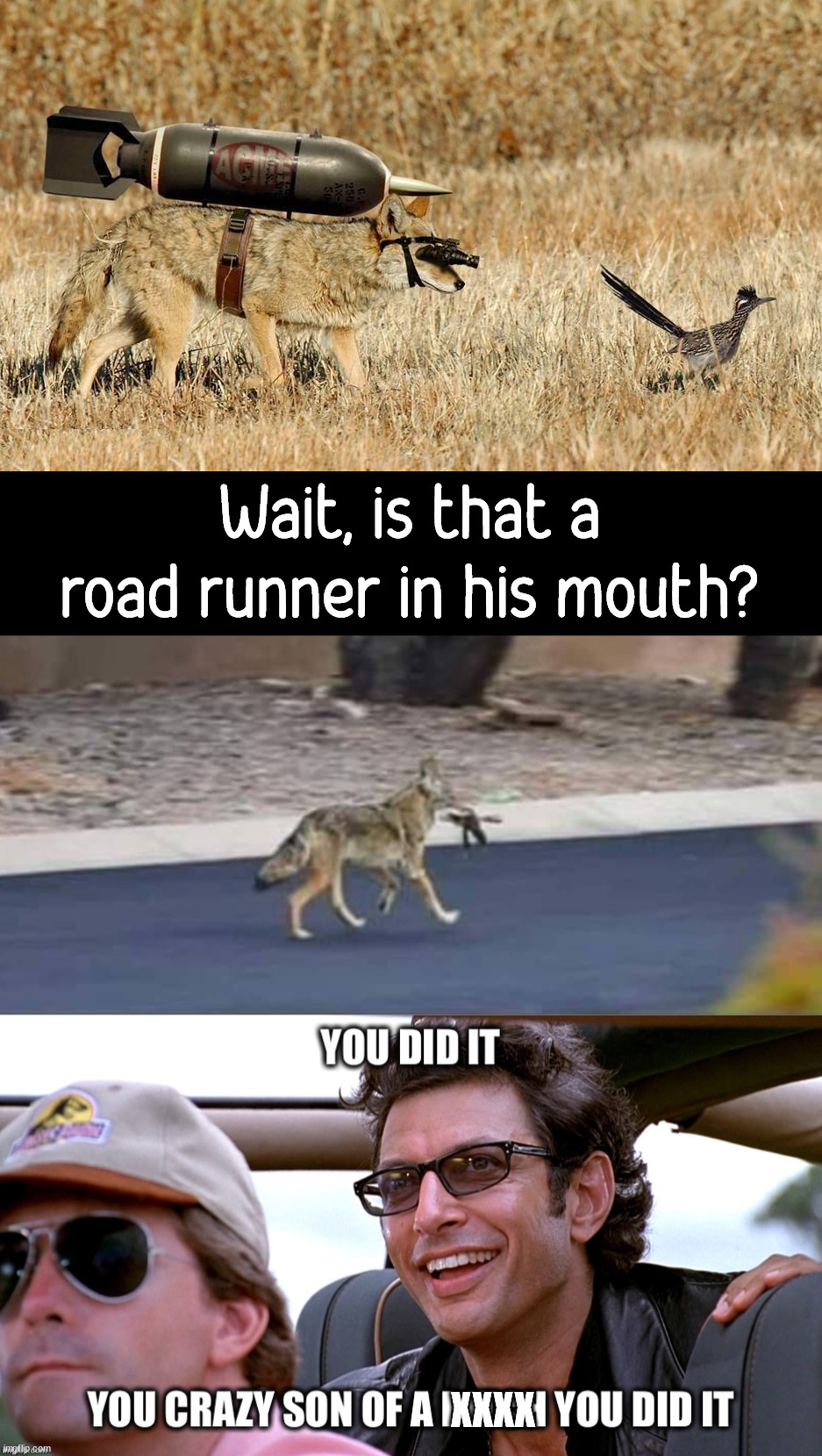 Finally got the Road Runner, don't know how I feel about that. | Wait, is that a road runner in his mouth? XXXX | image tagged in you crazy son of a bitch you did it,its finally over,wile e coyote,road runner,looney tunes,caught | made w/ Imgflip meme maker