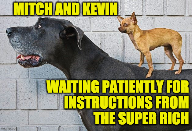Faithful curs. | MITCH AND KEVIN; WAITING PATIENTLY FOR
INSTRUCTIONS FROM
THE SUPER RICH | image tagged in memes,republican lapdogs,faithful curs,mitch mcconnell,kevin mccarthy | made w/ Imgflip meme maker