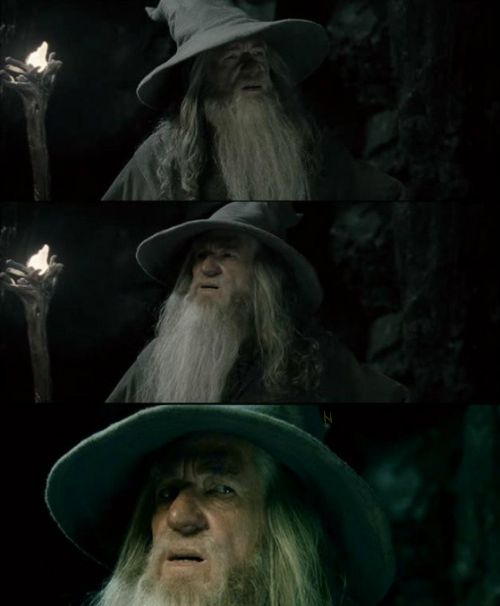 High Quality Gandalf Confused Blank Meme Template