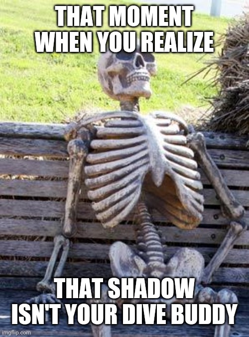 Fun times when diving | THAT MOMENT WHEN YOU REALIZE; THAT SHADOW ISN'T YOUR DIVE BUDDY | image tagged in memes,waiting skeleton | made w/ Imgflip meme maker