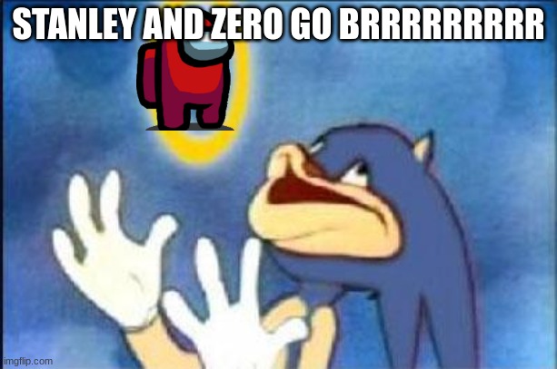 Sonic derp |  STANLEY AND ZERO GO BRRRRRRRRR | image tagged in sonic derp | made w/ Imgflip meme maker