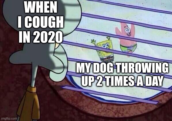 mmmm clever title | WHEN I COUGH IN 2020; MY DOG THROWING UP 2 TIMES A DAY | image tagged in squidward window | made w/ Imgflip meme maker