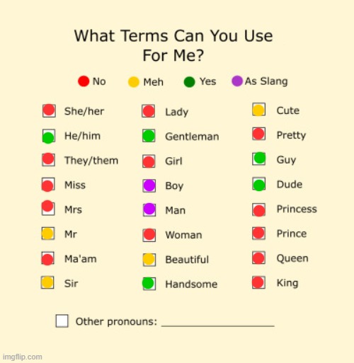 Not like people would care | image tagged in pronouns sheet | made w/ Imgflip meme maker
