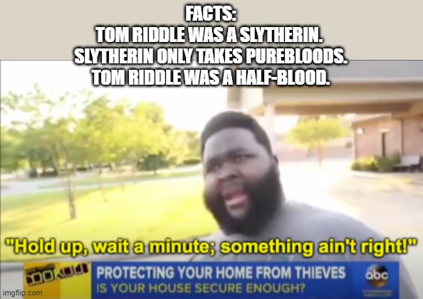 Umm what | FACTS:
TOM RIDDLE WAS A SLYTHERIN. 
SLYTHERIN ONLY TAKES PUREBLOODS.
TOM RIDDLE WAS A HALF-BLOOD. | image tagged in hold up wait a minute something aint right | made w/ Imgflip meme maker