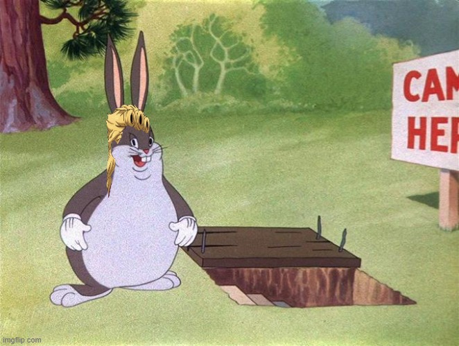 Big Chungus | image tagged in big chungus | made w/ Imgflip meme maker