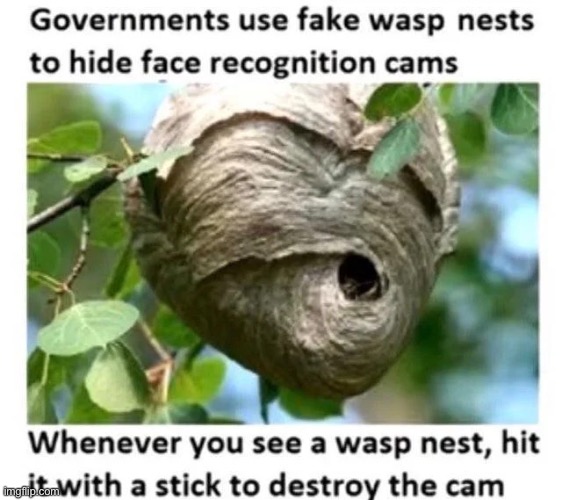 20 upvotes and I post in politics | made w/ Imgflip meme maker