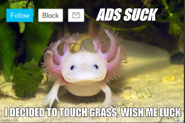 adios (mod note: mods are still watching) | ADS SUCK; I DECIDED TO TOUCH GRASS, WISH ME LUCK | image tagged in axolotldudes announcement template | made w/ Imgflip meme maker