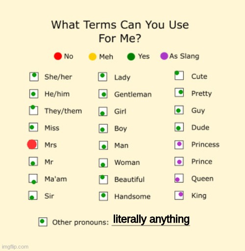 pov:your not sure wtf you gender is. | literally anything | image tagged in pronouns sheet | made w/ Imgflip meme maker