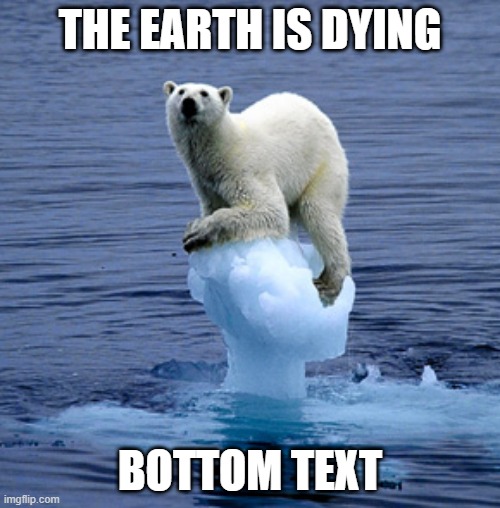 i doint kniow | THE EARTH IS DYING; BOTTOM TEXT | image tagged in global warming polar bear | made w/ Imgflip meme maker