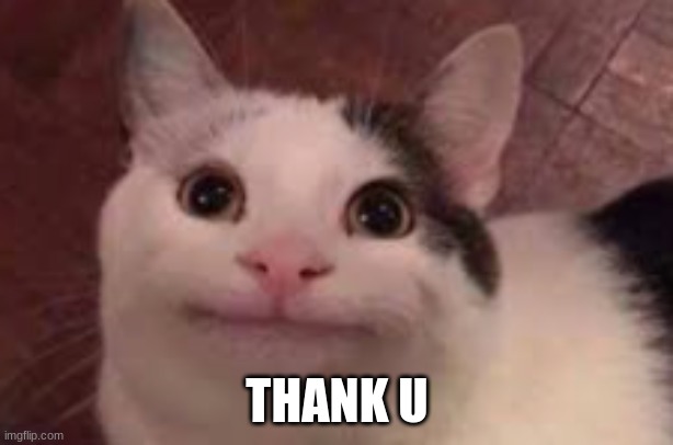 happy cat | THANK U | image tagged in happy cat | made w/ Imgflip meme maker