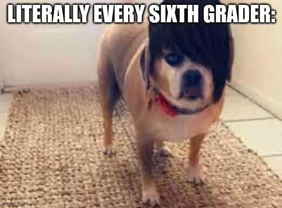  LITERALLY EVERY SIXTH GRADER: | image tagged in emo,sad,dog,yes,no,boy | made w/ Imgflip meme maker