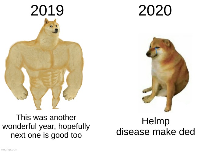 Buff Doge vs. Cheems | 2019; 2020; This was another wonderful year, hopefully next one is good too; Helmp disease make ded | image tagged in memes,buff doge vs cheems | made w/ Imgflip meme maker