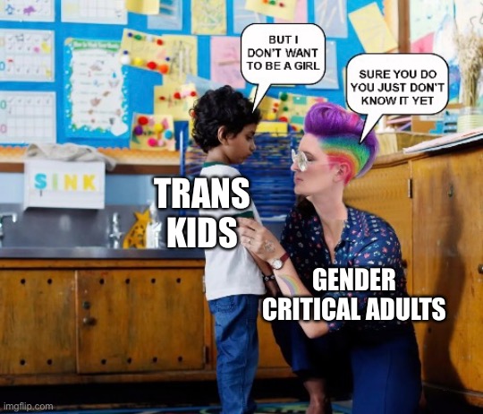 Stop forcing your kids to be cis. | TRANS KIDS; GENDER CRITICAL ADULTS | image tagged in transgender,lgbtq,homophobic | made w/ Imgflip meme maker