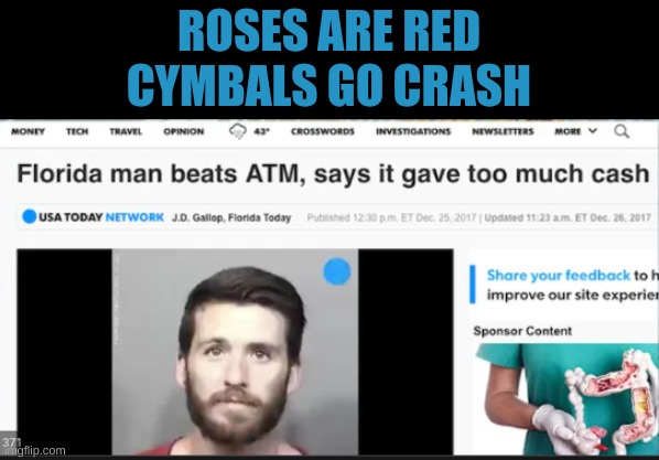 Wtf florida man | ROSES ARE RED
CYMBALS GO CRASH | image tagged in florida man,funny meme | made w/ Imgflip meme maker
