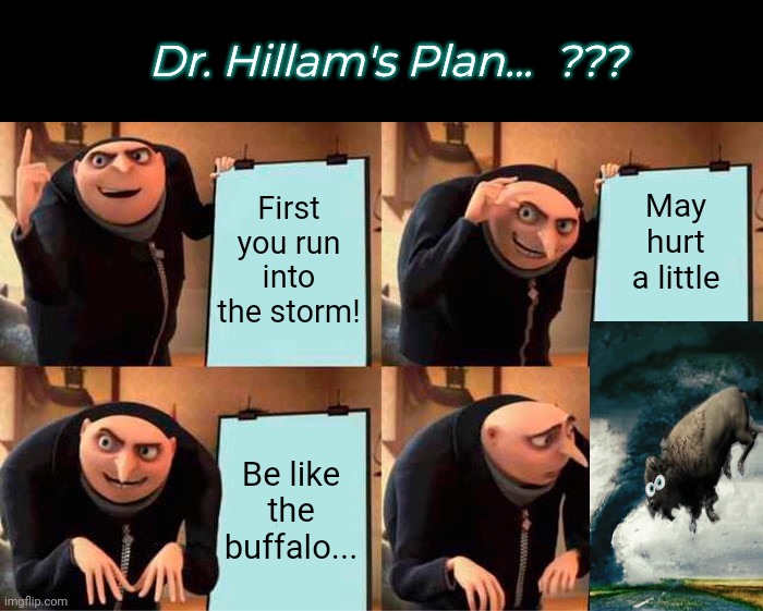 I think my therapist is mentally ill... | Dr. Hillam's Plan...  ??? May hurt a little; First you run into the storm! Be like the buffalo... | image tagged in memes,gru's plan | made w/ Imgflip meme maker