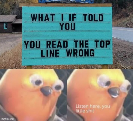image tagged in listen here you little shit bird | made w/ Imgflip meme maker