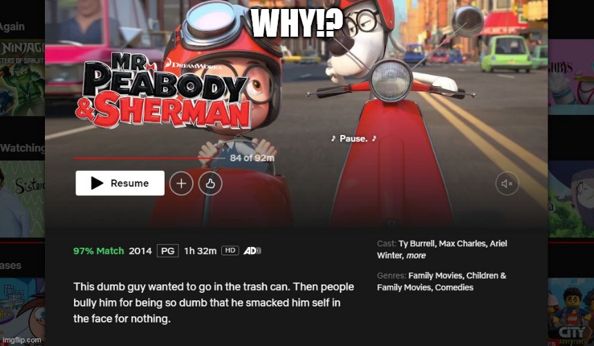 Netflix you put the description all wrong...AGAIN!? |  WHY!? | image tagged in funny | made w/ Imgflip meme maker