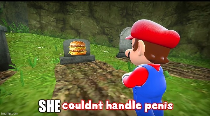 He couldn't handle penis | SHE | image tagged in he couldn't handle penis | made w/ Imgflip meme maker