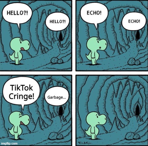 relatable? | TikTok Cringe! Garbage... | image tagged in echo,tiktok,lol | made w/ Imgflip meme maker