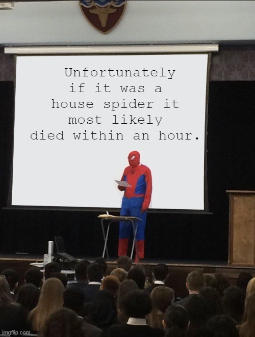 Unfortunately if it was a house spider it most likely died within an hour. | image tagged in spiderman teaching | made w/ Imgflip meme maker