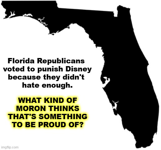 Does the South do anything besides hate? | Florida Republicans 

voted to punish Disney because they didn't 
hate enough. WHAT KIND OF MORON THINKS THAT'S SOMETHING TO BE PROUD OF? | image tagged in florida,republicans,morons,disney | made w/ Imgflip meme maker