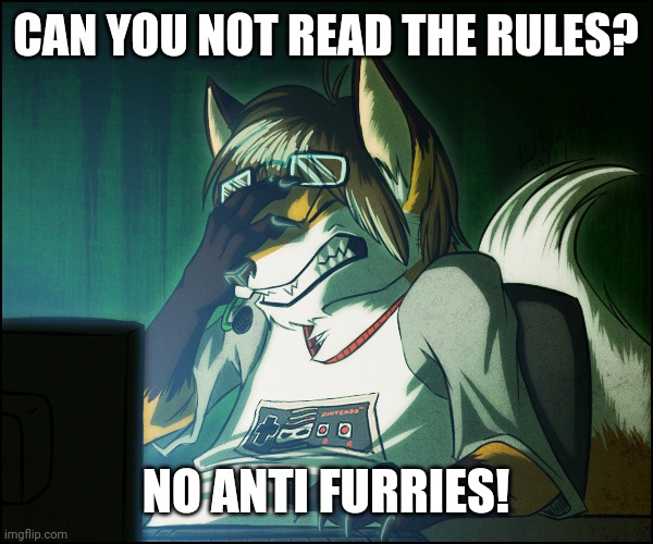 love this stream btw | CAN YOU NOT READ THE RULES? NO ANTI FURRIES! | image tagged in furry facepalm | made w/ Imgflip meme maker