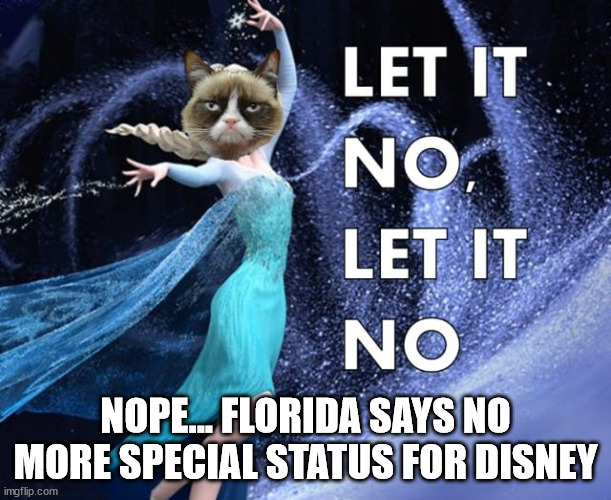 Go Woke... Go Broke... | NOPE... FLORIDA SAYS NO MORE SPECIAL STATUS FOR DISNEY | image tagged in bye bye,corporate greed | made w/ Imgflip meme maker