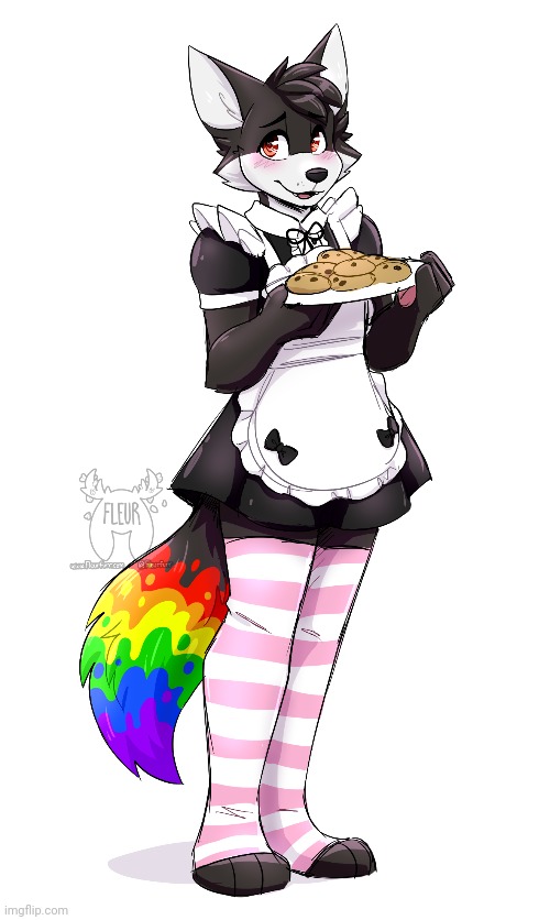 "Cookie?" :3 (art by Fleurfurr) | image tagged in furry,femboy,cute | made w/ Imgflip meme maker