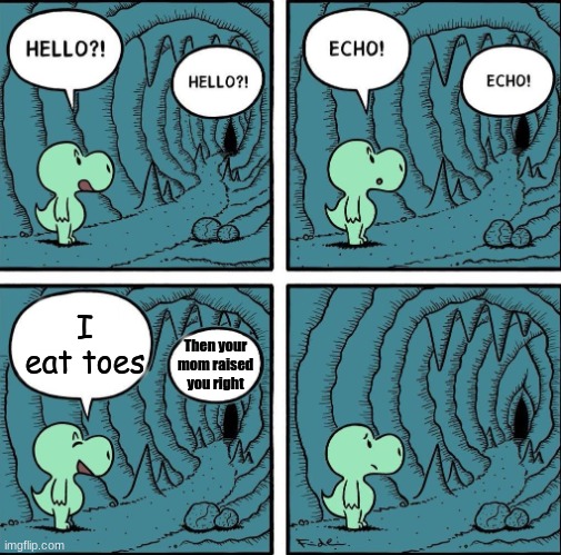 Lol, yummy toes | I eat toes; Then your mom raised you right | image tagged in echo | made w/ Imgflip meme maker