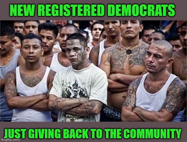 NEW REGISTERED DEMOCRATS JUST GIVING BACK TO THE COMMUNITY | made w/ Imgflip meme maker