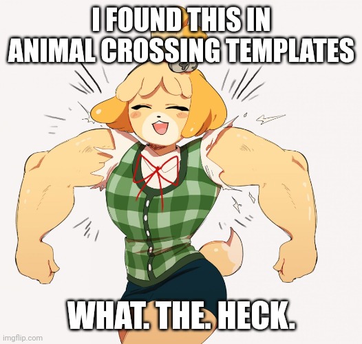Hold up! Wait a minute! Something ain't right! |  I FOUND THIS IN ANIMAL CROSSING TEMPLATES; WHAT. THE. HECK. | image tagged in buff isabelle | made w/ Imgflip meme maker