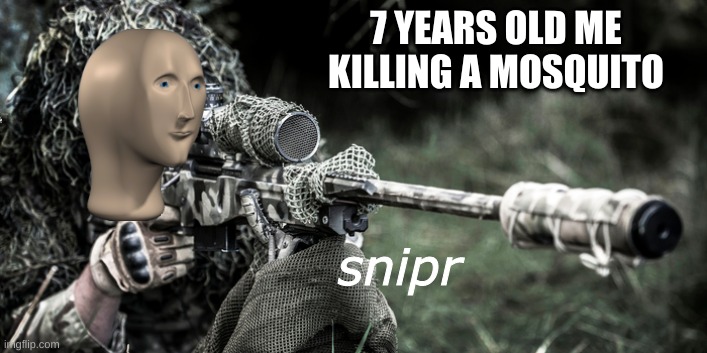 7 YEARS OLD ME KILLING A MOSQUITO; snipr | image tagged in mosquito | made w/ Imgflip meme maker