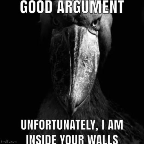 your walls | image tagged in your walls | made w/ Imgflip meme maker