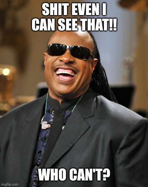 Stevie Wonder | SHIT EVEN I CAN SEE THAT!! WHO CAN'T? | image tagged in stevie wonder | made w/ Imgflip meme maker