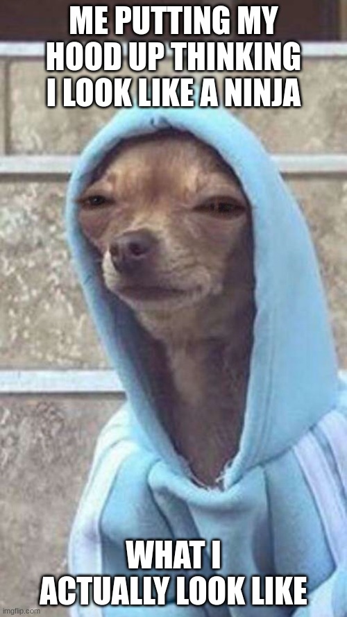 Mood Dog | ME PUTTING MY HOOD UP THINKING I LOOK LIKE A NINJA; WHAT I ACTUALLY LOOK LIKE | image tagged in mood dog | made w/ Imgflip meme maker