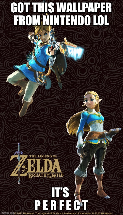 I freaking love botw | GOT THIS WALLPAPER FROM NINTENDO LOL; IT’S 
P E R F E C T | made w/ Imgflip meme maker