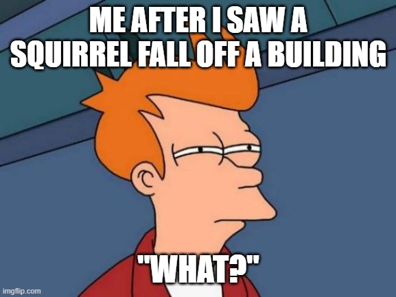 Futurama Fry Meme | ME AFTER I SAW A SQUIRREL FALL OFF A BUILDING; "WHAT?" | image tagged in memes,futurama fry | made w/ Imgflip meme maker